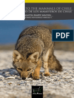 Fieldguide Mammals Chile