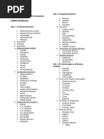 Vocabulario 2do Año