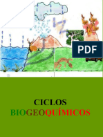 Ciclos Bio Geoquimicos