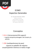 Clase Ecmo