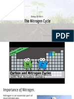 7 - The Nitrogen Cycle.