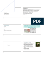 Microbiologia Básica: Fungos