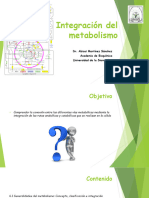 Integración Del Metabolismo