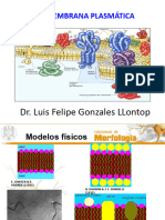 Tercera Semana Clase Teórica V