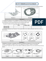 TD de SVT Terminale D Prof Sekou 91785314