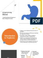 The Working of The Nephron