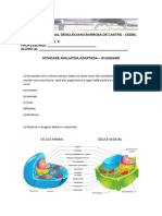 Atividade Avaliativa Celulas