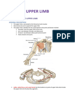 Anatomy UPPER LIMB Final 2