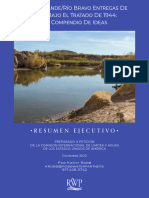 Rio Grande White Paper Executive Spanish