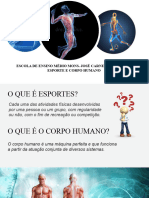 Esporte e Corpo Humano