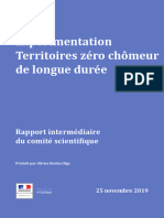 Experimentation Territoires Zero Chomeur de Longue Duree Rapport Interimaire