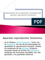 Descripción de La Anatomía y Fisiología Del Aparato Reproductor Femenino