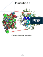 Projet Français L'insuline