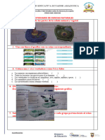 Cuestionario de Ciencias