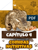 Comidas Nutritivas Gatos