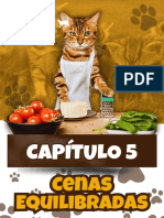 Cenas Equilibradas Gatos