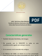 Pdf24 Converted 13