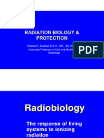 3 Radobiology