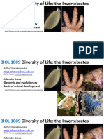 BIOL1009 2023 Invertebrates Lecture 1