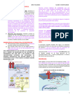 Clase III Neoplasias