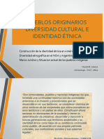 Diversidad Étnica y Cultural Revisado