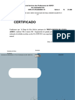 Certificado de Cesto Aereo