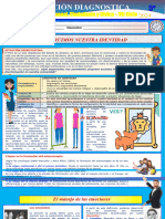 Evaluacion Diagnostica DPCC-5 - 2024