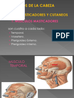 10 Musculos