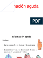 INFLAMACIÓN AGUDA PDF 2023