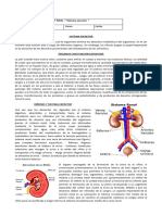 II Nivel. Biología Retroalimentación