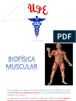 Musculos