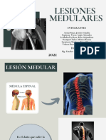 Lesiones Medulares