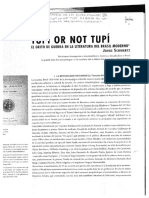 SCHUARTZ - Tupi or Not Tupi Ocr