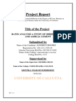 13 Ratio Analysis of Shree Cement & Ambuja Cement