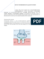 Neuromuscular Junction