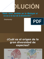 Presentación Evolución (Provisional)