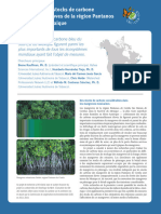 Estimation de Stocksde Carbone Dans La Mangrove