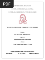 Estado Constitucional y Democratico de Derecho