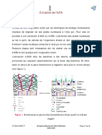 L3 Microbiologie Extraction ADN - 2023