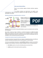 Biologia Energia