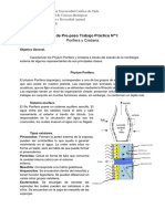 Guía Prepaso Trabajo Práctico N°1