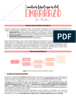 OB02-Cambios Fisiológicos Durante El Embarazo