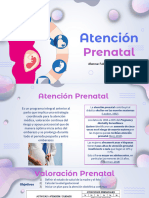 Atención Prenatal