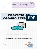 Matriz Del Proceso Adaptativo Personal