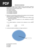 Preguntas de Repaso para El Segundo Examen