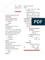 Different Tissue Types and Organ Systems in Plants