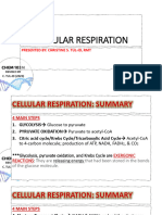 Glycolysis Krebs Cycle Etc Op Student S