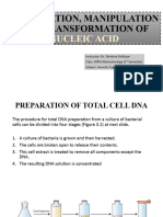 Purification, Manipulation and Transformation of Nucleic Acid