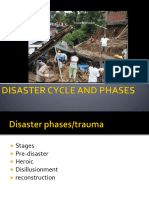 Disaster Cycle and Phases