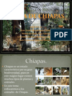 Fauna de Chiapas